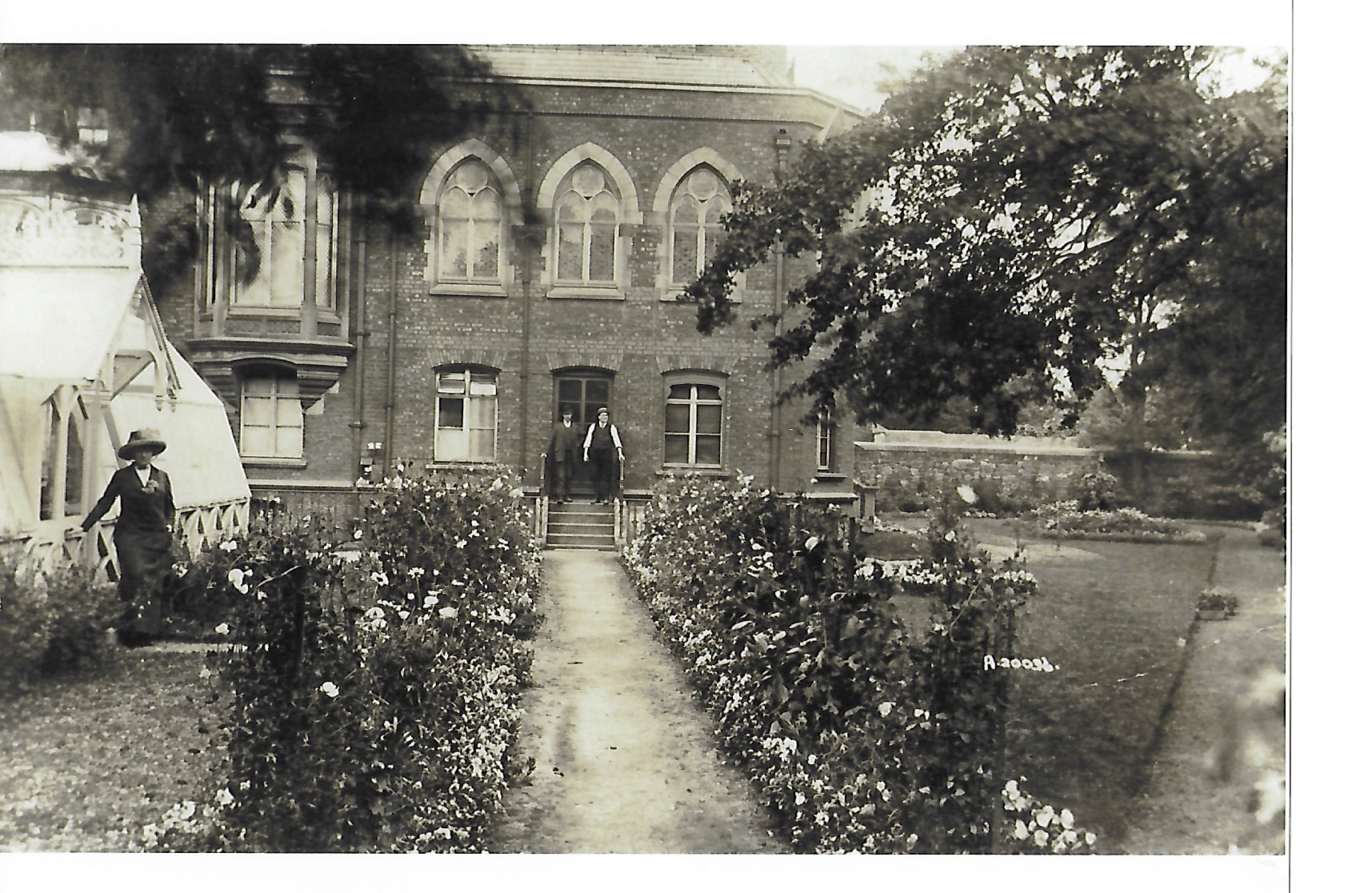 The back garden in Hamilton House