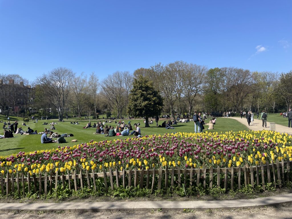 Merrion Square Flowers